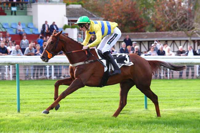 Photo d'arrivée de la course pmu PRIX DOMINIQUE SARTINI à COMPIEGNE le Samedi 29 octobre 2022