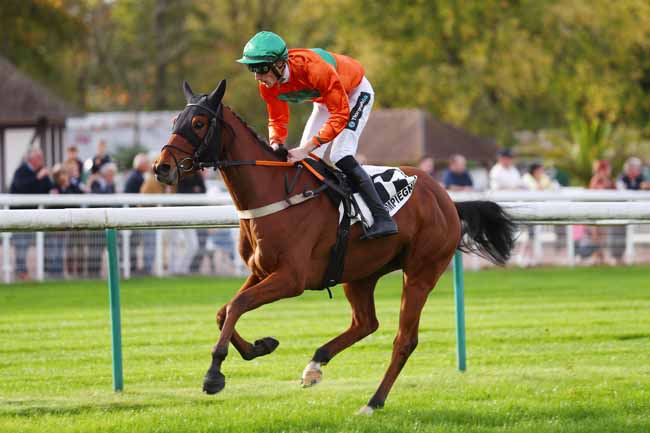Photo d'arrivée de la course pmu PRIX DE SAINT-RAPHAEL à COMPIEGNE le Samedi 29 octobre 2022