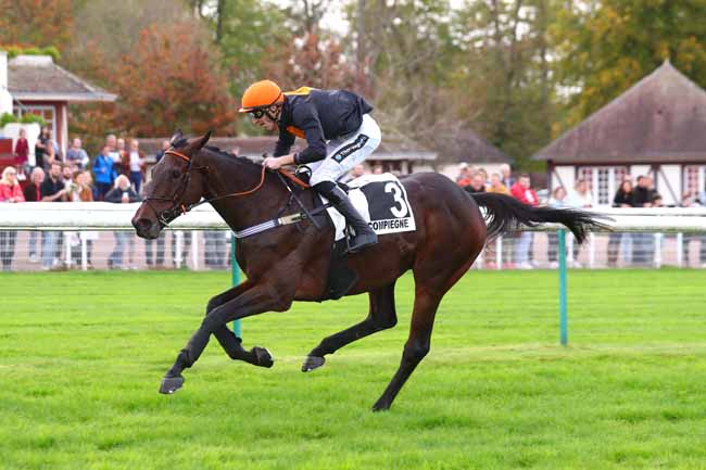 Photo d'arrivée de la course pmu GRAND STEEPLE-CHASE DE COMPIEGNE à COMPIEGNE le Samedi 29 octobre 2022