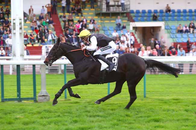 Photo d'arrivée de la course pmu PRIX DE BESANCON à COMPIEGNE le Samedi 29 octobre 2022