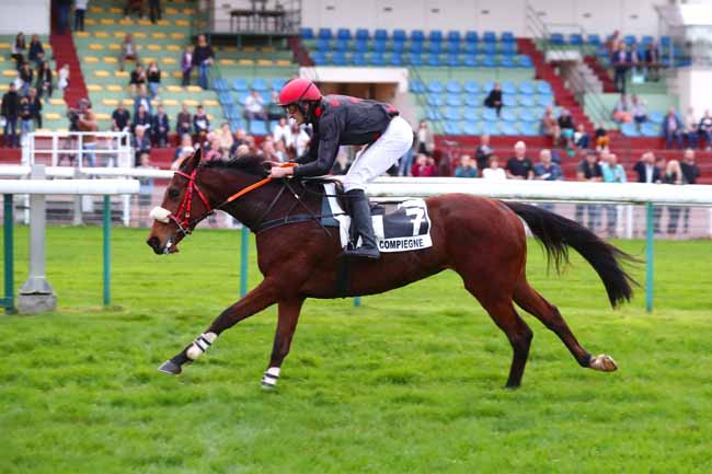 Photo d'arrivée de la course pmu PRIX COLONEL D'ENGLESQUEVILLE à COMPIEGNE le Samedi 29 octobre 2022