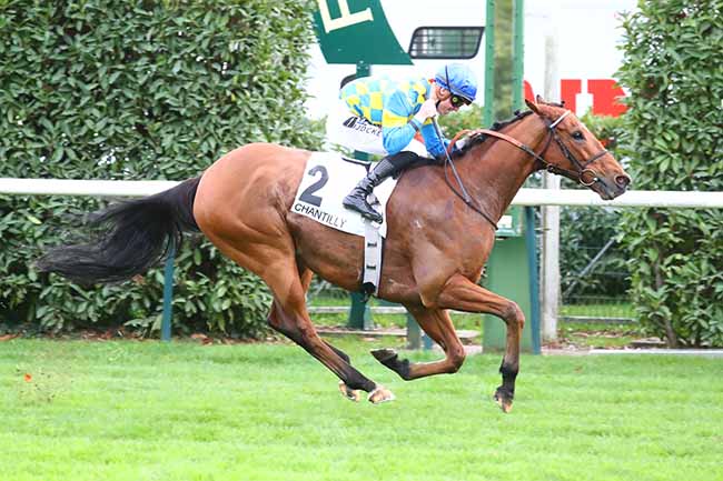 Photo d'arrivée de la course pmu PRIX DE SEINE-ET-OISE à CHANTILLY le Dimanche 30 octobre 2022