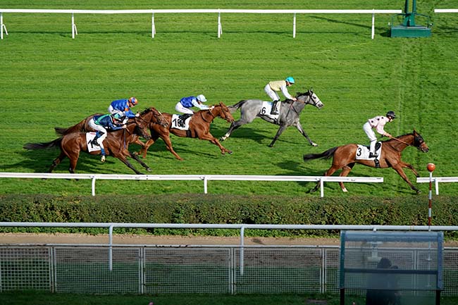 Photo d'arrivée de la course pmu PRIX HULA DANCER à SAINT CLOUD le Lundi 31 octobre 2022