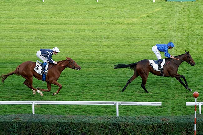 Photo d'arrivée de la course pmu PRIX DOUVE à SAINT CLOUD le Lundi 31 octobre 2022