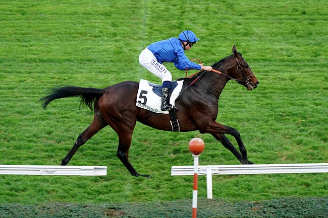 Photo d'arrivée de la course pmu PRIX ANTIVARI à SAINT CLOUD le Lundi 31 octobre 2022