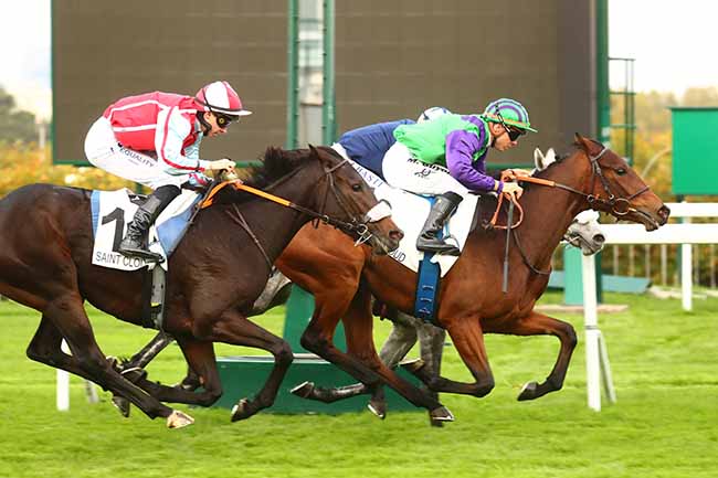 Photo d'arrivée de la course pmu PRIX DES HARAS à SAINT CLOUD le Lundi 31 octobre 2022