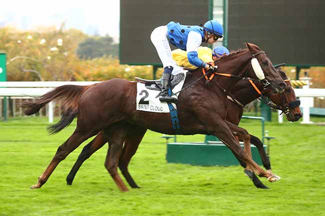 Photo d'arrivée de la course pmu PRIX DU VERT CLOS à SAINT CLOUD le Lundi 31 octobre 2022