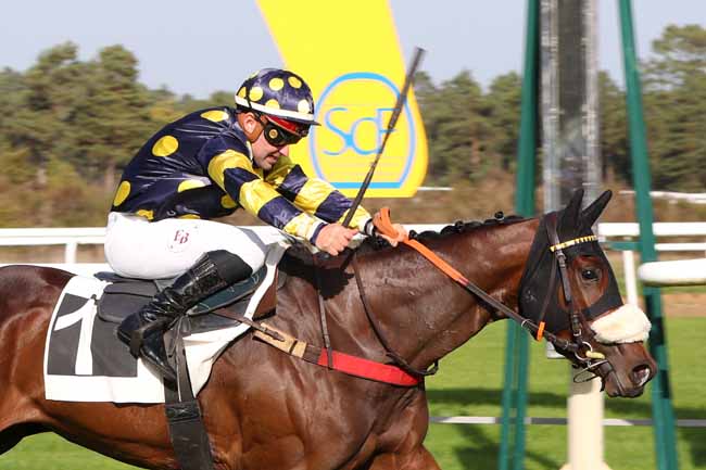 Photo d'arrivée de la course pmu PRIX DU CONSEIL MUNICIPAL DE CHAMPAGNE-SUR-SEINE à FONTAINEBLEAU le Lundi 31 octobre 2022