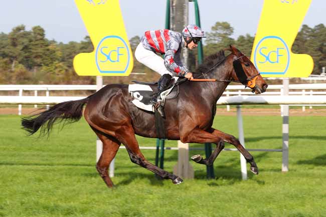 Photo d'arrivée de la course pmu PRIX STYRAX à FONTAINEBLEAU le Lundi 31 octobre 2022