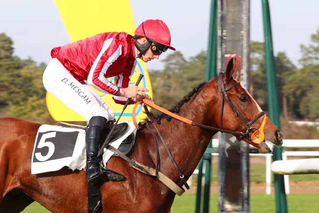 Photo d'arrivée de la course pmu PRIX DES GORGES D'APREMONT à FONTAINEBLEAU le Lundi 31 octobre 2022