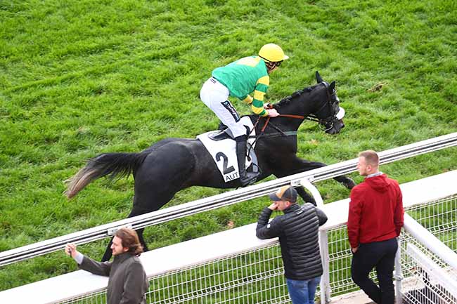 Photo d'arrivée de la course pmu PRIX ROBERT DE LIPOWSKI à AUTEUIL le Vendredi 4 novembre 2022
