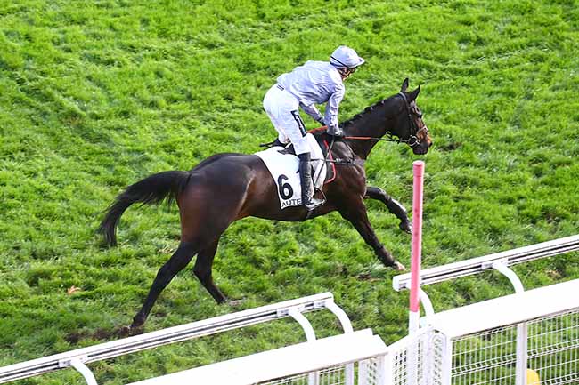 Photo d'arrivée de la course pmu PRIX PIERRE DE LASSUS à AUTEUIL le Vendredi 4 novembre 2022