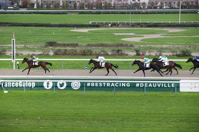 Photo d'arrivée de la course pmu PRIX DE FERGAND à DEAUVILLE le Samedi 5 novembre 2022