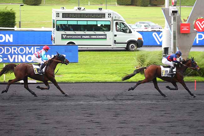 Photo d'arrivée de la course pmu PRIX DE BARENTON à PARIS-VINCENNES le Lundi 7 novembre 2022
