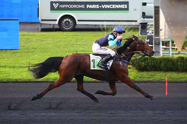 Photo d'arrivée de la course pmu PRIX REYNOLDS à PARIS-VINCENNES le Lundi 7 novembre 2022