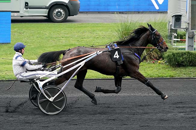 Photo d'arrivée de la course pmu PRIX DE CORMELLES à PARIS-VINCENNES le Jeudi 10 novembre 2022