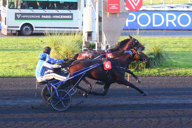 Photo d'arrivée de la course pmu PRIX D'ARGENTAN à PARIS-VINCENNES le Samedi 12 novembre 2022