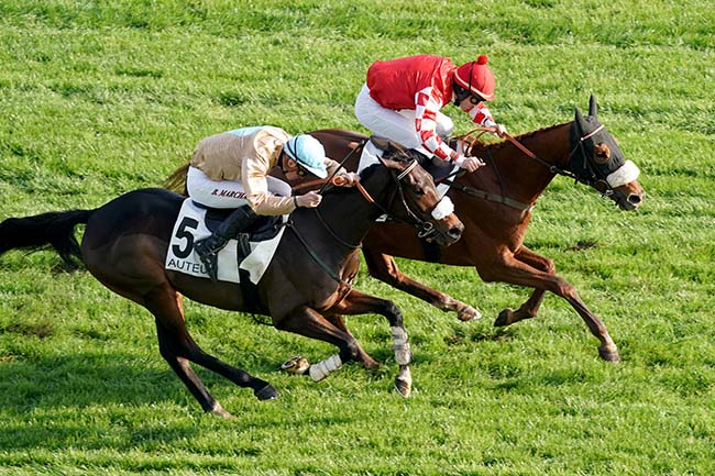 Photo d'arrivée de la course pmu PRIX OENEAS à AUTEUIL le Samedi 12 novembre 2022
