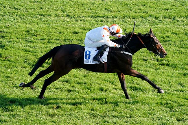 Photo d'arrivée de la course pmu HARAS D'ETREHAM - PRIX MAGALEN BRYANT (PRIX BOURNOSIENNE) à AUTEUIL le Samedi 12 novembre 2022