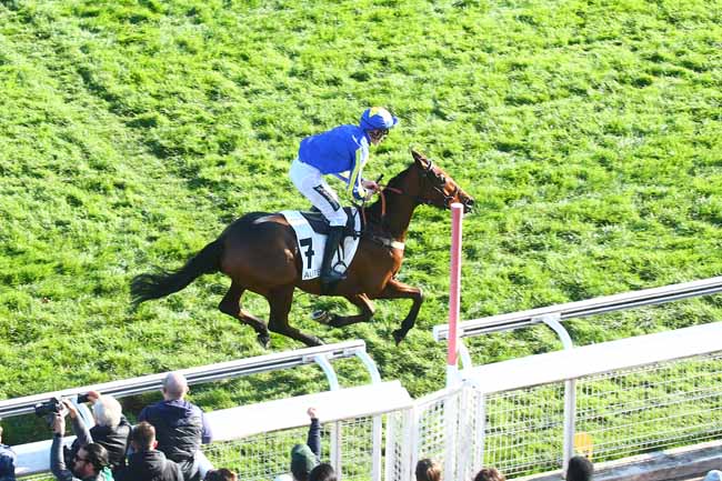 Photo d'arrivée de la course pmu PRIX CAMBACERES - GRANDE COURSE DE HAIES DES 3 ANS à AUTEUIL le Dimanche 13 novembre 2022