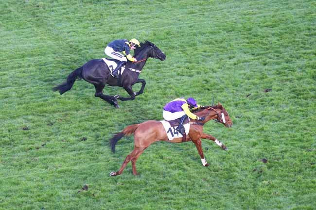 Photo d'arrivée de la course pmu PRIX MONDEVILLE à AUTEUIL le Dimanche 13 novembre 2022