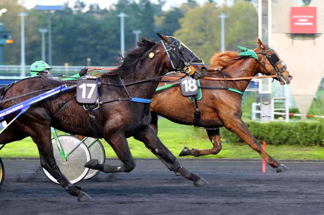 Photo d'arrivée de la course pmu PRIX DE BELFORT à PARIS-VINCENNES le Dimanche 13 novembre 2022
