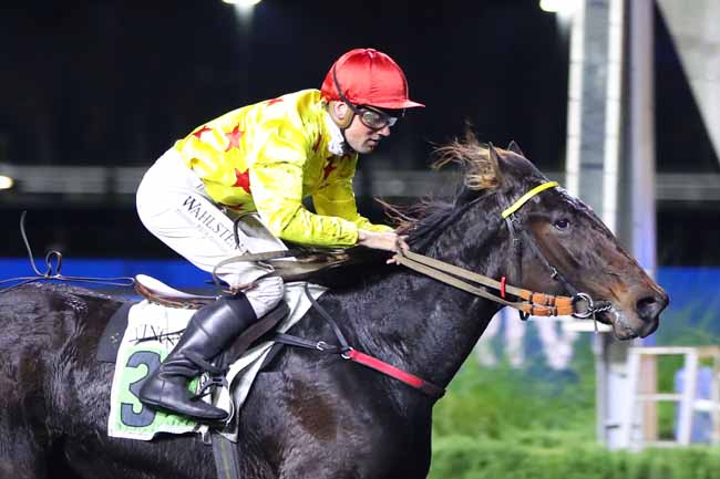 Photo d'arrivée de la course pmu PRIX DE BELLERIVE à PARIS-VINCENNES le Dimanche 13 novembre 2022