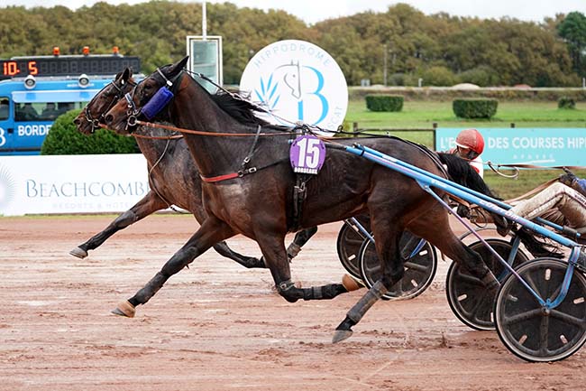 Photo d'arrivée de la course pmu PRIX SHANDRANI BEACHCOMBER à BORDEAUX-LE BOUSCAT le Lundi 14 novembre 2022