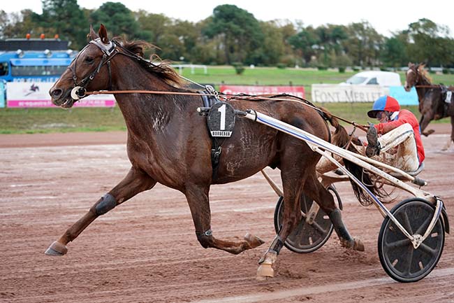 Photo d'arrivée de la course pmu PRIX VICTORIA BEACHCOMBER à BORDEAUX-LE BOUSCAT le Lundi 14 novembre 2022