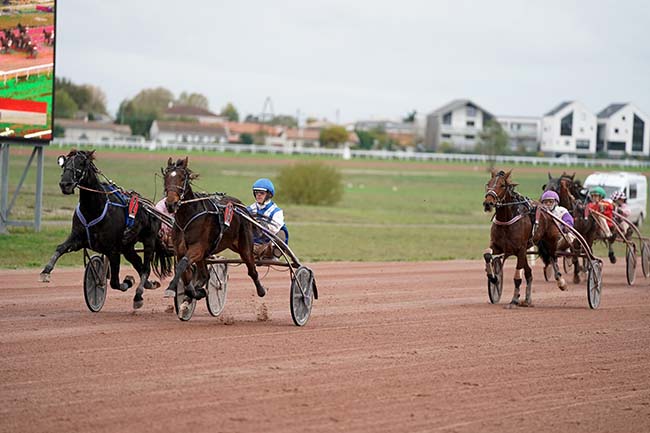 Photo d'arrivée de la course pmu PRIX TROU AUX BICHES BEACHCOMBER à BORDEAUX-LE BOUSCAT le Lundi 14 novembre 2022