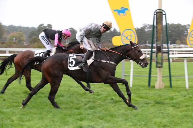 Photo d'arrivée de la course pmu PRIX DU DEBUCHER à FONTAINEBLEAU le Mardi 15 novembre 2022