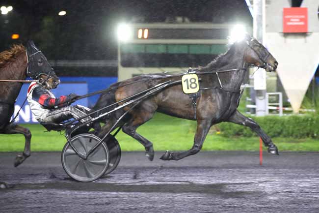 Photo d'arrivée de la course pmu PRIX DE CASTRES à PARIS-VINCENNES le Mardi 15 novembre 2022