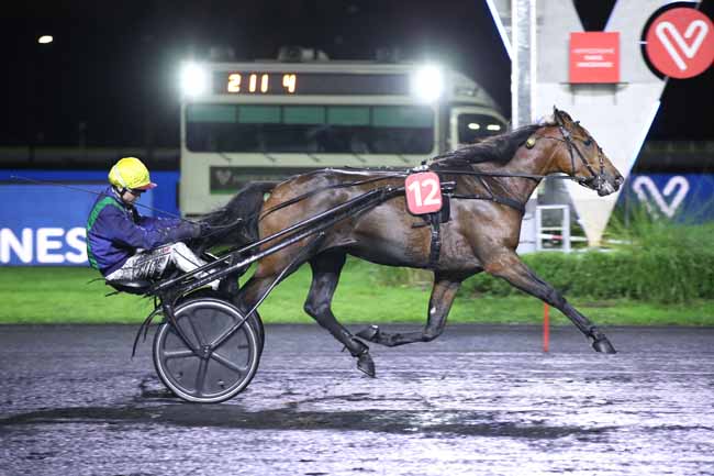 Photo d'arrivée de la course pmu PRIX SIWA à PARIS-VINCENNES le Mardi 15 novembre 2022