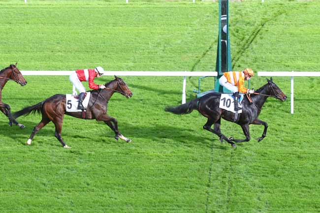 Photo d'arrivée de la course pmu PRIX HEROD à SAINT CLOUD le Jeudi 17 novembre 2022