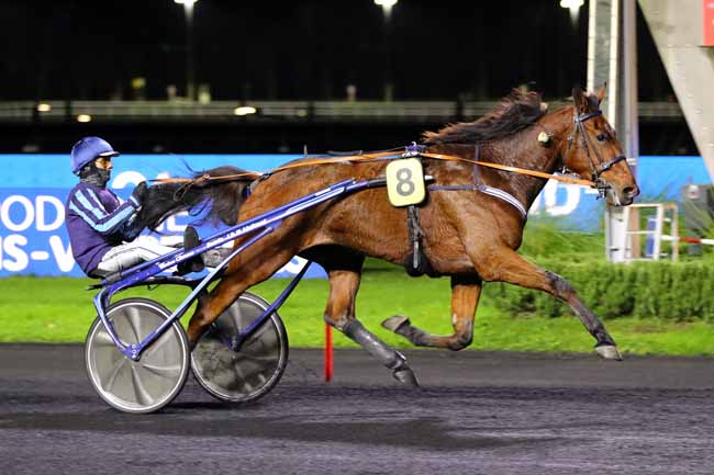 Photo d'arrivée de la course pmu PRIX ADELHEID à PARIS-VINCENNES le Vendredi 18 novembre 2022