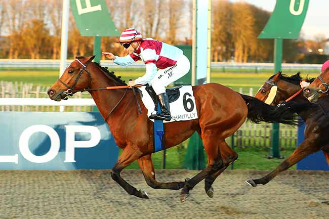 Photo d'arrivée de la course pmu PRIX DU CARREFOUR DES HAUTES COUTUMES à CHANTILLY le Vendredi 18 novembre 2022