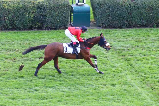 Photo d'arrivée de la course pmu STEEPLE-CHASE NATIONAL DES ANGLO-ARABES à AUTEUIL le Samedi 19 novembre 2022