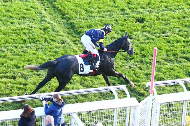 Photo d'arrivée de la course pmu PRIX DE BEAUGENCY à AUTEUIL le Samedi 19 novembre 2022
