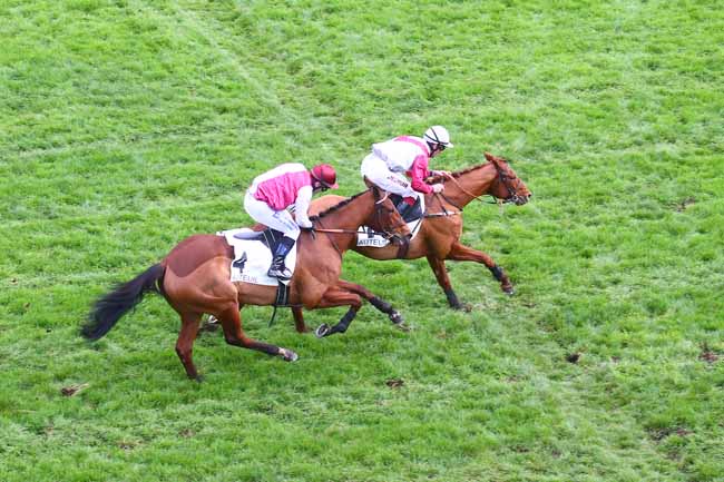 Photo d'arrivée de la course pmu PRIX MARC ANTONY à AUTEUIL le Samedi 19 novembre 2022