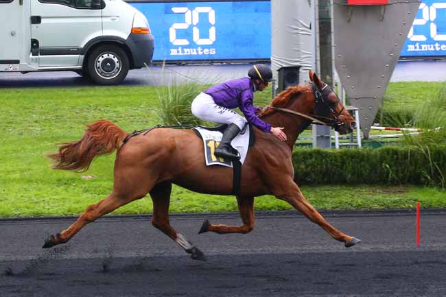 Photo d'arrivée de la course pmu PRIX RMC (PRIX DE BRIOUDE) à PARIS-VINCENNES le Dimanche 20 novembre 2022