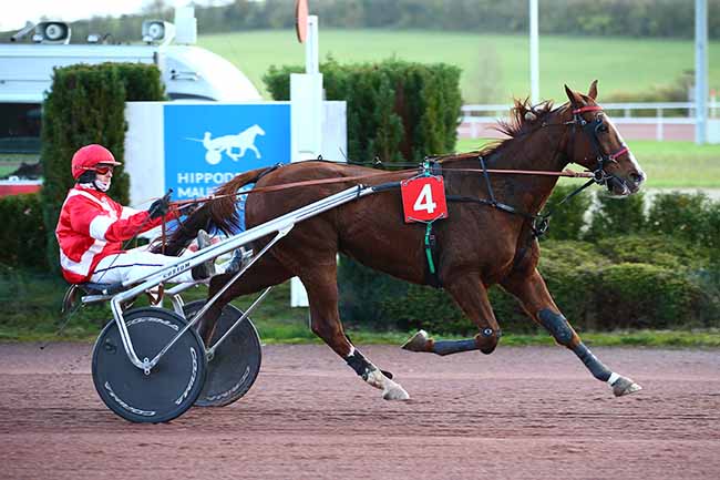 Photo d'arrivée de la course pmu GRAND PRIX DES AMATEURS à MAUQUENCHY le Mercredi 23 novembre 2022
