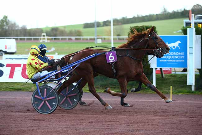 Photo d'arrivée de la course pmu PRIX REGION NORMANDIE - MAURICE DE FOLLEVILLE à MAUQUENCHY le Mercredi 23 novembre 2022