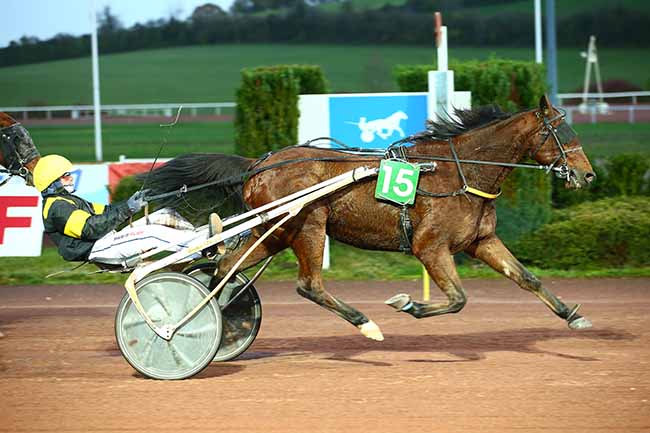 Photo d'arrivée de la course pmu PRIX DU BLASON DU PETIT QUEVILLY à MAUQUENCHY le Mercredi 23 novembre 2022