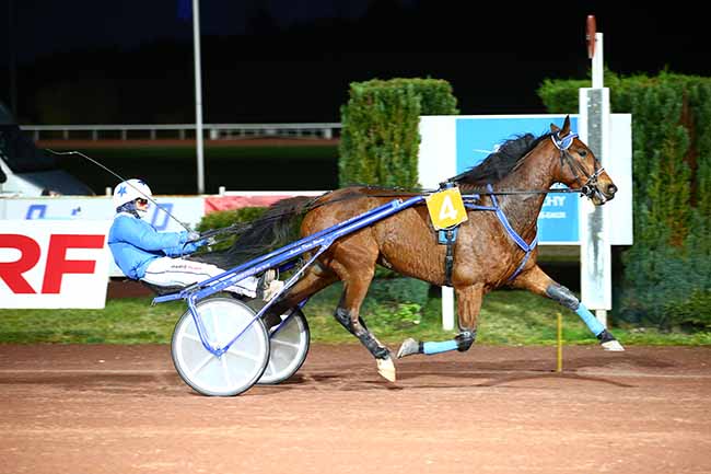 Photo d'arrivée de la course pmu PRIX JEAN MAIZERET à MAUQUENCHY le Mercredi 23 novembre 2022