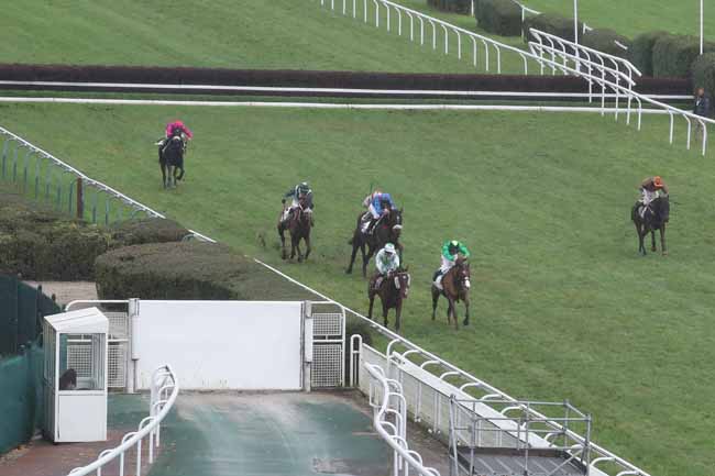 Photo d'arrivée de la course pmu PRIX DANDOLO à AUTEUIL le Mercredi 23 novembre 2022
