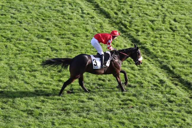 Photo d'arrivée de la course pmu PRIX FRANCOIS DE PONCINS à AUTEUIL le Mercredi 23 novembre 2022