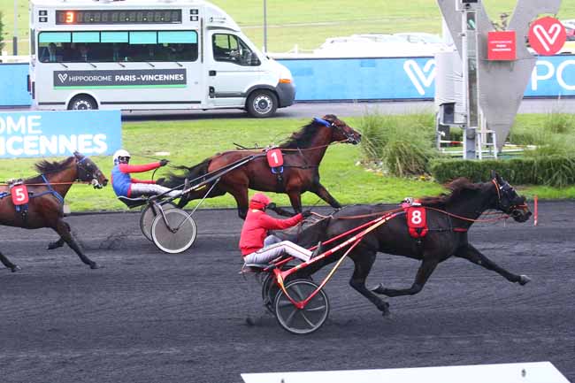 Photo d'arrivée de la course pmu PRIX DE PICARDIE à PARIS-VINCENNES le Jeudi 24 novembre 2022