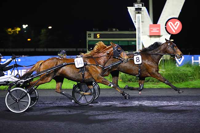 Photo d'arrivée de la course pmu PRIX TRITON à PARIS-VINCENNES le Vendredi 25 novembre 2022