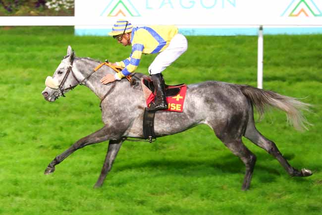 Photo d'arrivée de la course pmu PRIX JEAN ETCHEPARE à TOULOUSE le Dimanche 27 novembre 2022