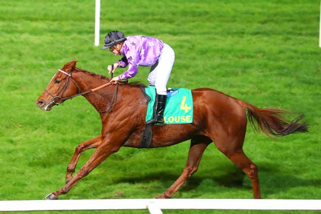 Photo d'arrivée de la course pmu PRIX JEAN DARAUX à TOULOUSE le Dimanche 27 novembre 2022